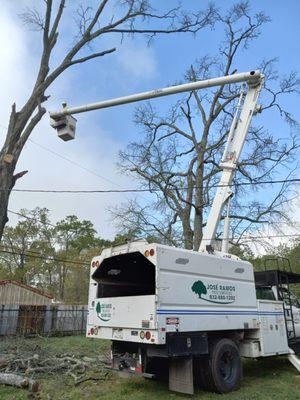 Jose Ramos Tree Service