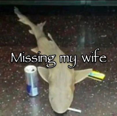 Thomas Jefferson Junior High