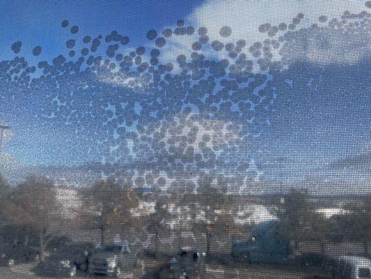 Unknown mold like substance on the screen