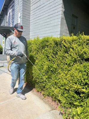 Bugeyes Pest Control