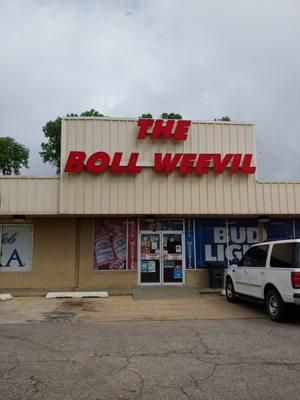 Boll Weevil
