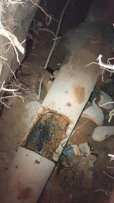 Underground sewer line