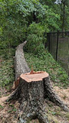 Tanner Brothers Tree Service