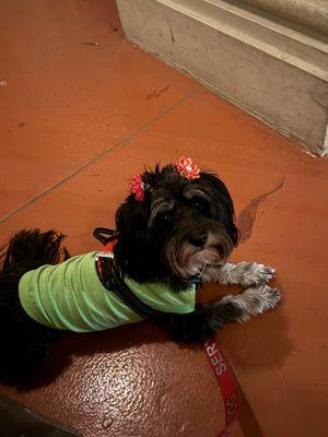 He saved her life. This is Angel