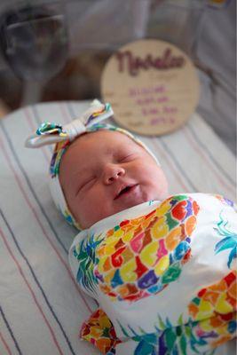 Birch & Fern Photography