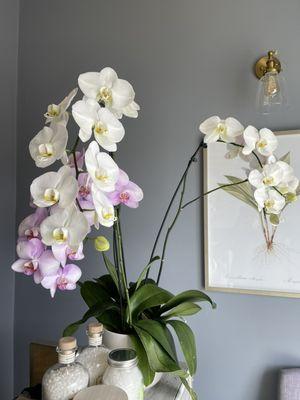 Heaven Therapeutic Massage