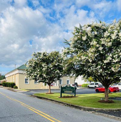 Thomaston Chiropractic Clinic