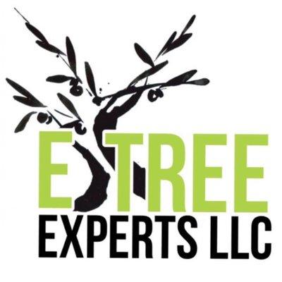 Etree Experts