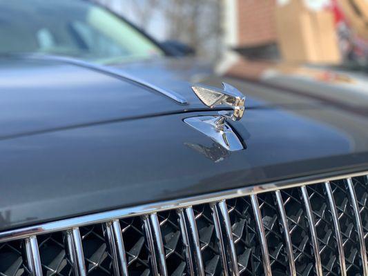 Polished Automotive Detailing