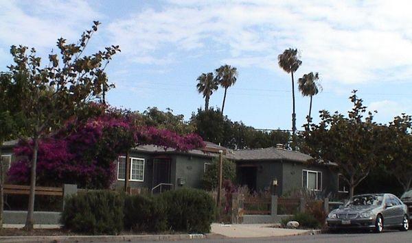 Woody's Termite Control