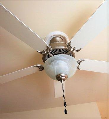 Ceiling Fans