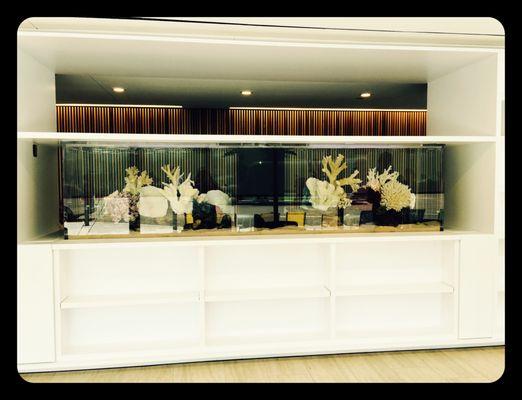 Clear Waters Aquarium Maintenance & Design