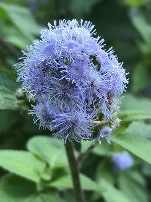 Sebastian Canoe Launch