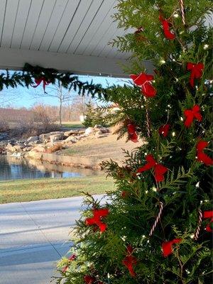 Christmas at the park