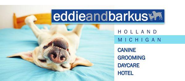 Eddie And Barkus Holland