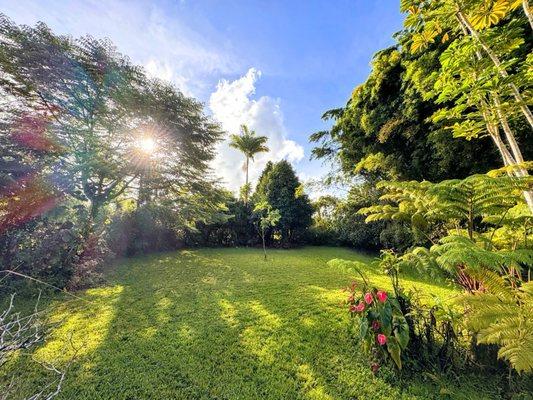 Just In Time Services