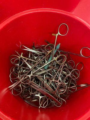 Altamonte Mall Pet Hospital