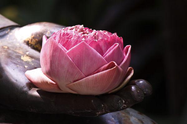 Inner Wellspring Integrative Therapy