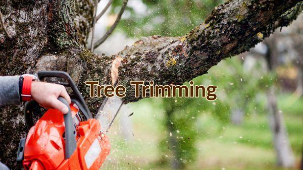 New Horizons Tree Service