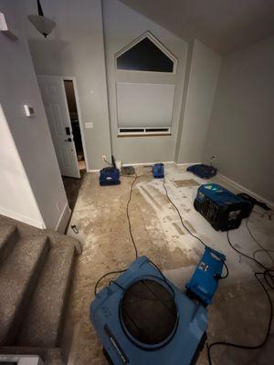 OneCall Mitigation & Cleanup