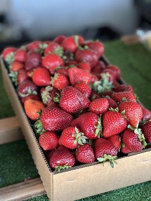 Kao’s Strawberry Farm