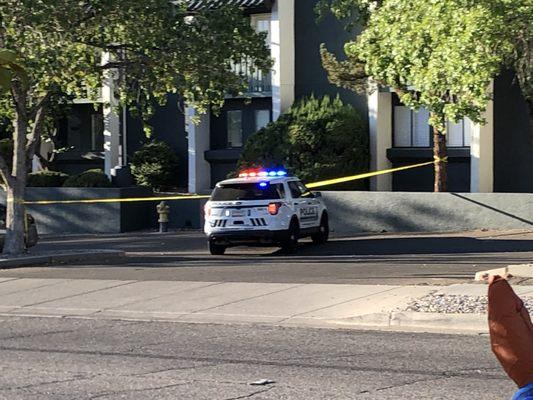 Police activity after a person was intentionally hit by a car