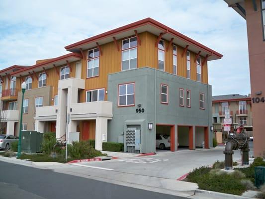 Above The Bay Real Estate