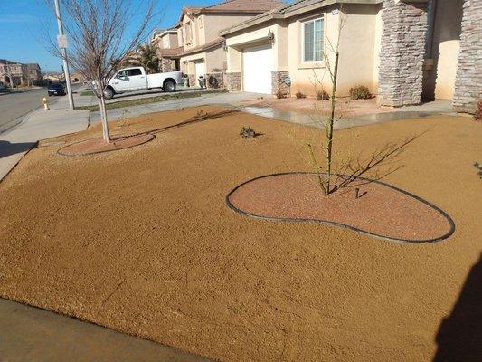 G Salinas Landscaping and Tree Services