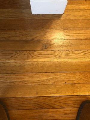 Hardwood patch, also showing distance from closet