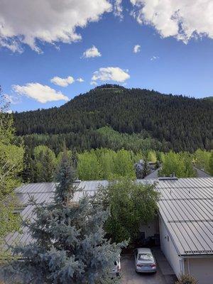 Ace Roofing
