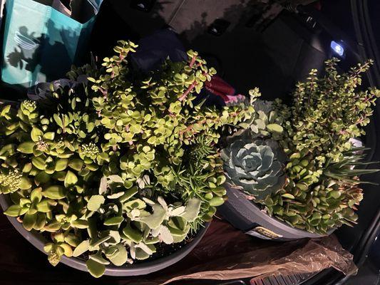 Home Services at the Home Depot