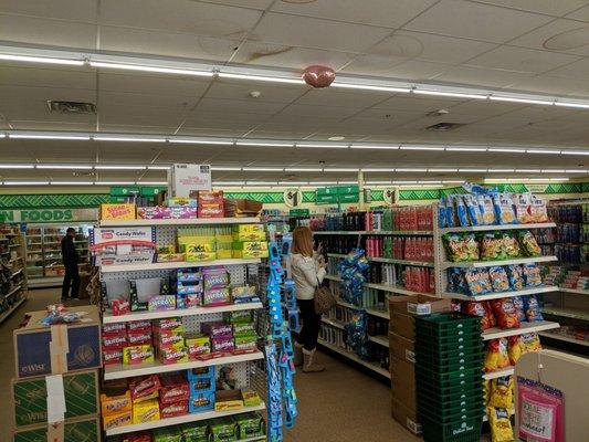 Dollar Tree