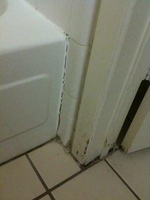 The place is falling apart and badly in need of a top to bottom renovation.