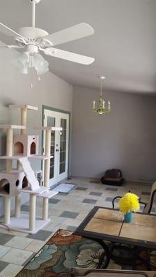 Remodeling and Repair Systems