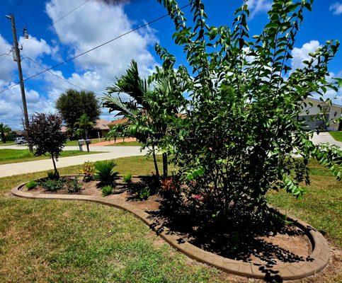 DISCOUNT ROCK AND KUSTOMIZED KURBING