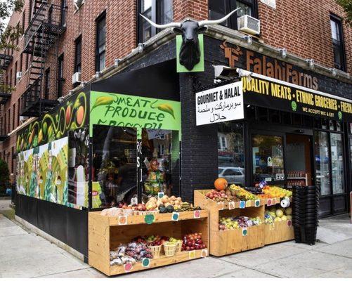 Taken from their Instagram - @falahifarms