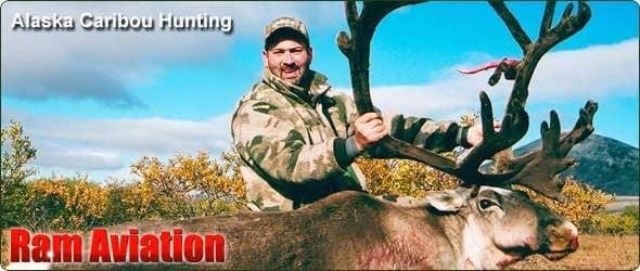 Alaska caribou hunting with Ram Aviation