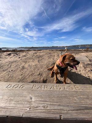West Coast Pet Memorial