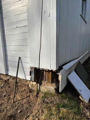 This is the corner of my barn that was damaged by Raccoon Brothers.