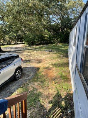 Francisco Landscaping