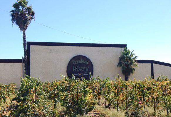 Biane Winery