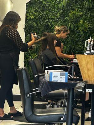 Sydney blow drying my daughter's hair