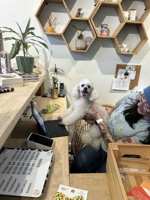 When would you like to schedule your next appointment?