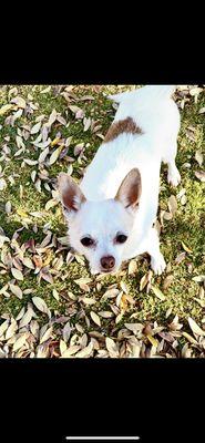 Sweet Tuch - Dr. Forneys patient