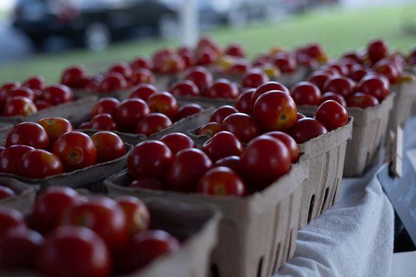 Fresh cherry tomatoes from a partner market in the CT True Match program.