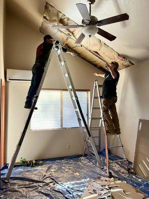 Northern Arizona Desert Dogs