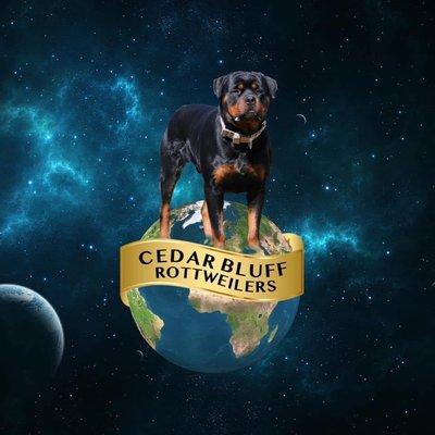 CedarBluff Rottweilers