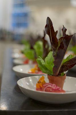 chef driven farm to fork inspired underground dining