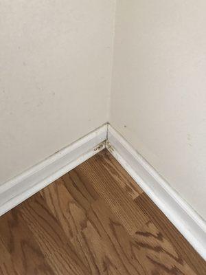 Blessed Home Services