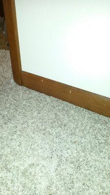 Jim Owens Carpet Corp